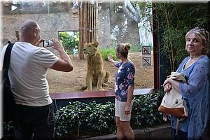 171011-Tenerife-0329.JPG