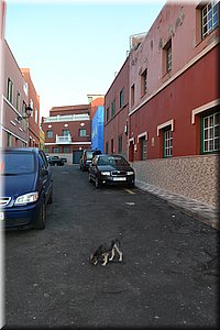 171011-Tenerife-0362.JPG