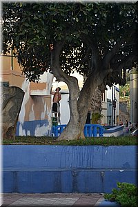 171011-Tenerife-0369.JPG