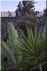 171011-Tenerife-0374.JPG