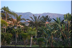 171011-Tenerife-0387.JPG