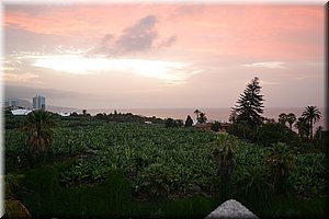 171012-Tenerife-0490.JPG