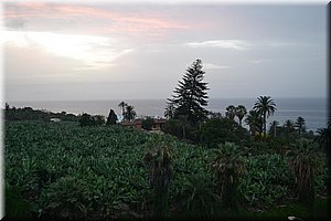 171012-Tenerife-0496.JPG