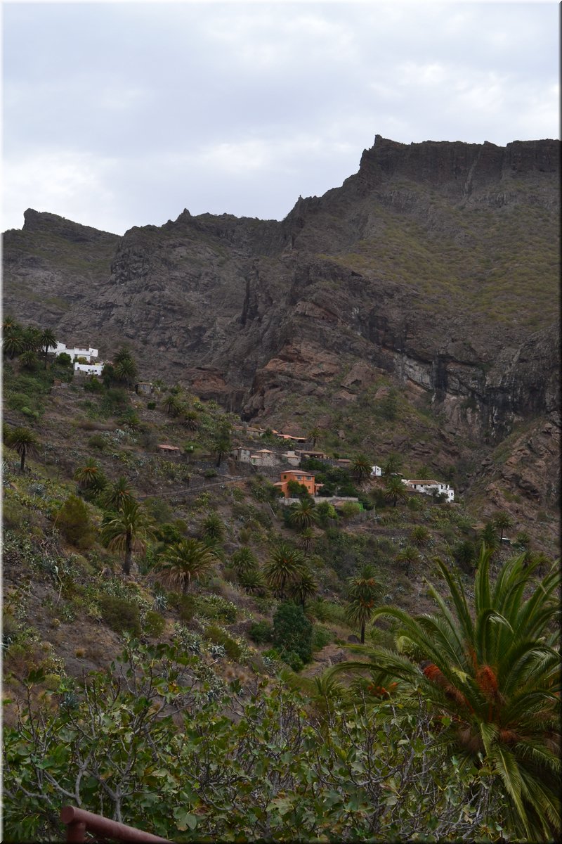 171014-Tenerife-0784.JPG