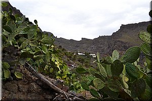 171014-Tenerife-0783.JPG