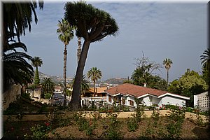 171015-Tenerife-0839.JPG