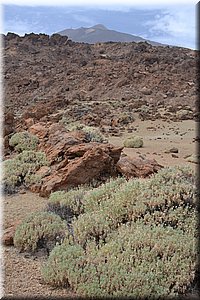 171015-Tenerife-0887.JPG