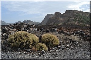 171015-Tenerife-0956.JPG