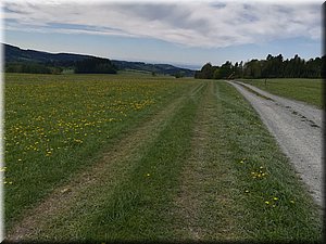180506-Bohdasin-02_Aja.jpg