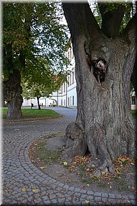 181006-srazPrchlych-Benatky12zamek.JPG