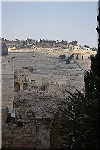 181021-Izrael-446.JPG