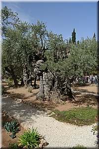 181022-Izrael-531.JPG