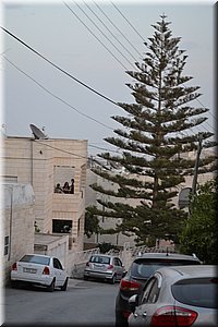 181022-Izrael-613.JPG