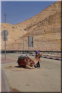 181023-Izrael-699.JPG