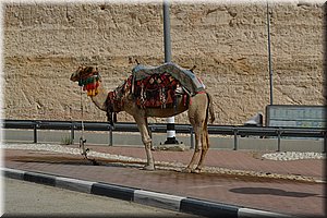 181023-Izrael-705.JPG