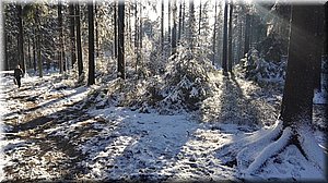 181231-Adrspach_Brc-49.jpg