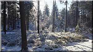 181231-Adrspach_Brc-58.jpg