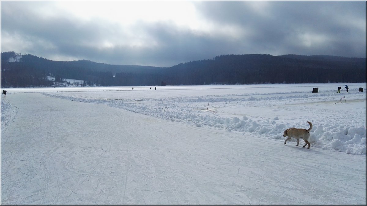 190208-Lipno-06_Brc.jpg