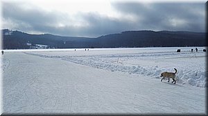 190208-Lipno-06_Brc.jpg