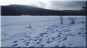 190208-Lipno-30_Brc.jpg