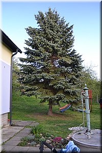 190503-HrachoviceZahrada-nik-38.JPG