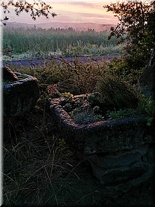 190701-zapadVoj-15.jpg