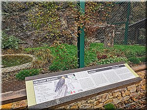 191102-ZOOsVikysem-120046_H.jpg