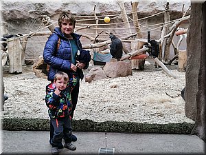 191102-ZOOsVikysem-121704_H.jpg