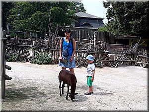 200802 ZOO Dvur Kralove 01.jpg