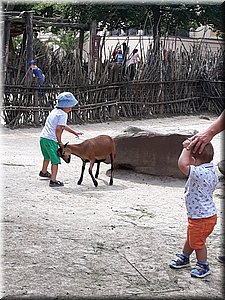 200802 ZOO Dvur Kralove 06.jpg