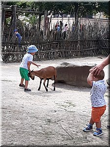 200802 ZOO Dvur Kralove 06.jpg