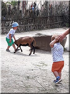 200802 ZOO Dvur Kralove 07.jpg