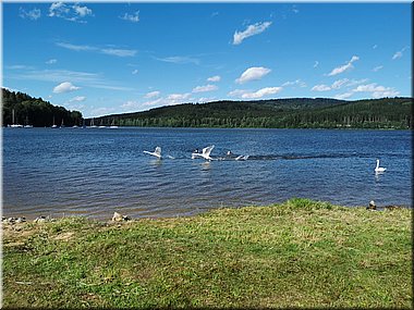 200826 Lipno-Vyton cyklo 154148_Brc.jpg