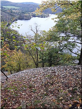 201018 pesovylet Slapy 152216_J.jpg