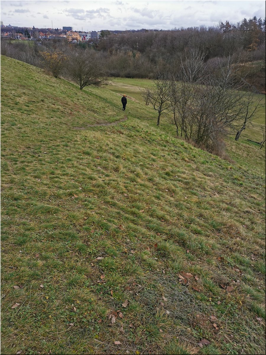 201224-VanocniProchazka-Sarka-14.jpg