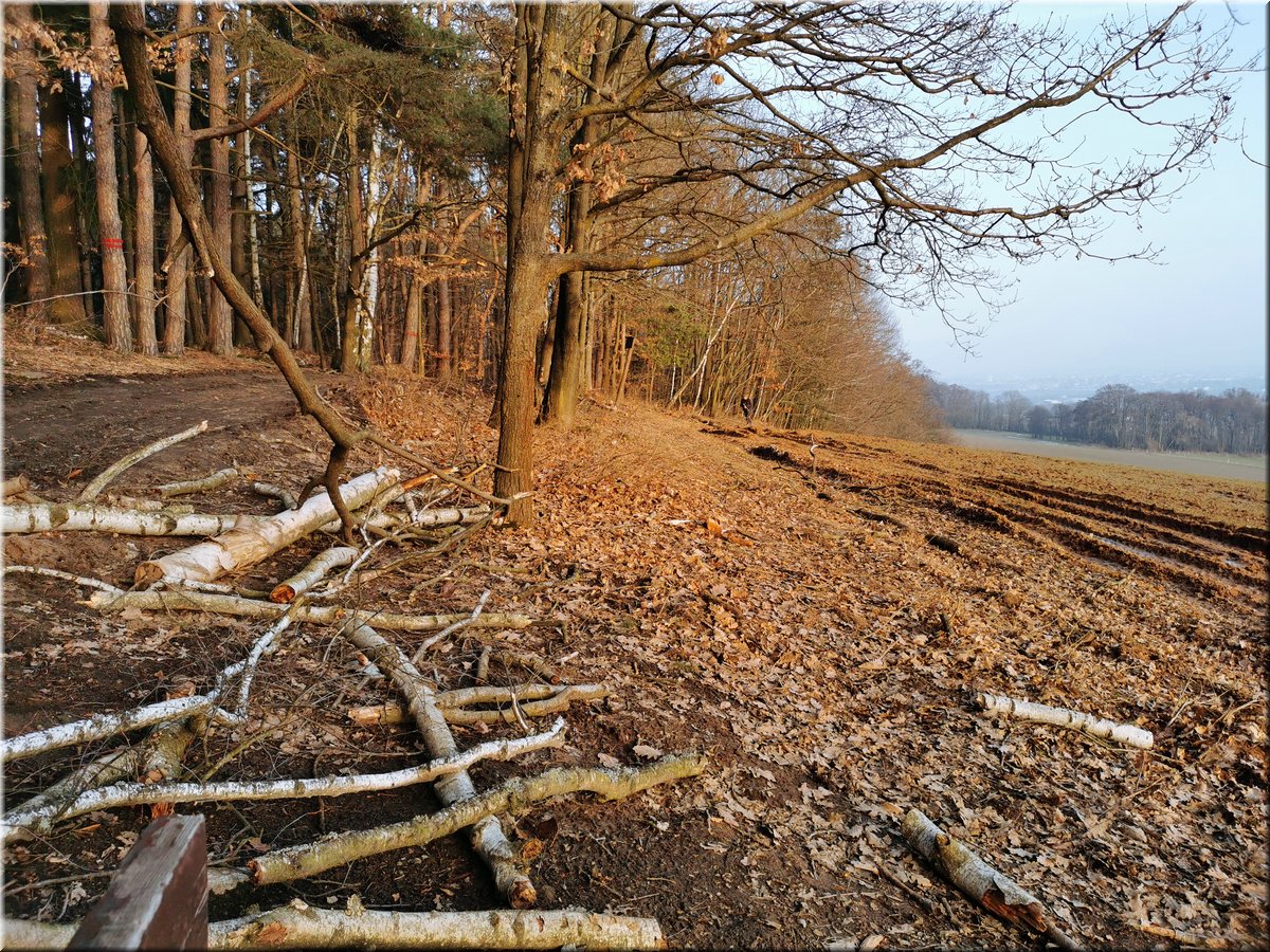 210224-3-panorama 21.jpg