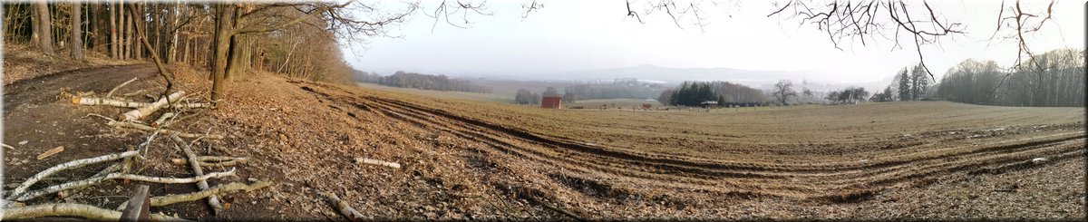 210224-3-panorama 22.jpg