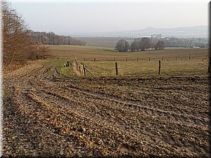 210224-3-panorama 18.jpg