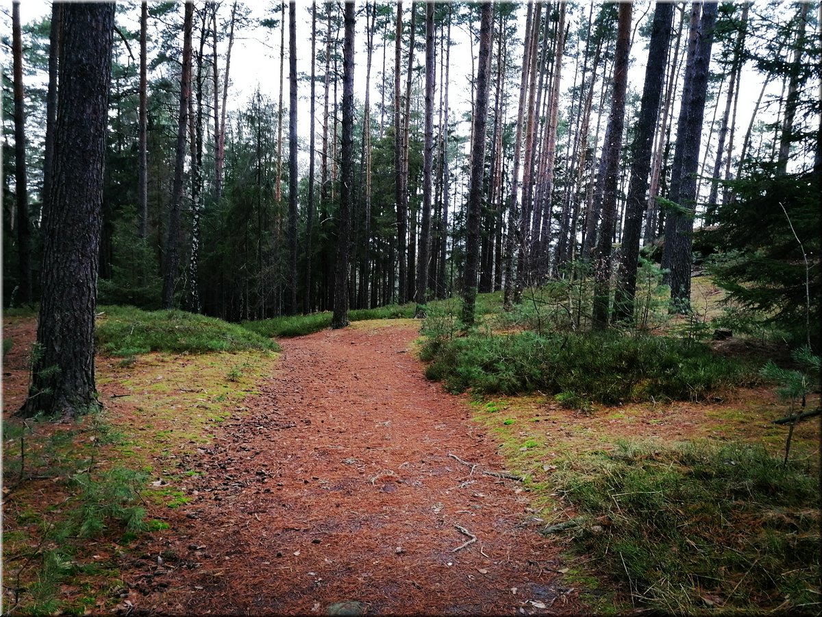 210227-PrachovskeSkaly03.jpg