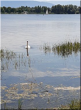 2021-08-10-FussachCyklo-141157_Jaja.jpg