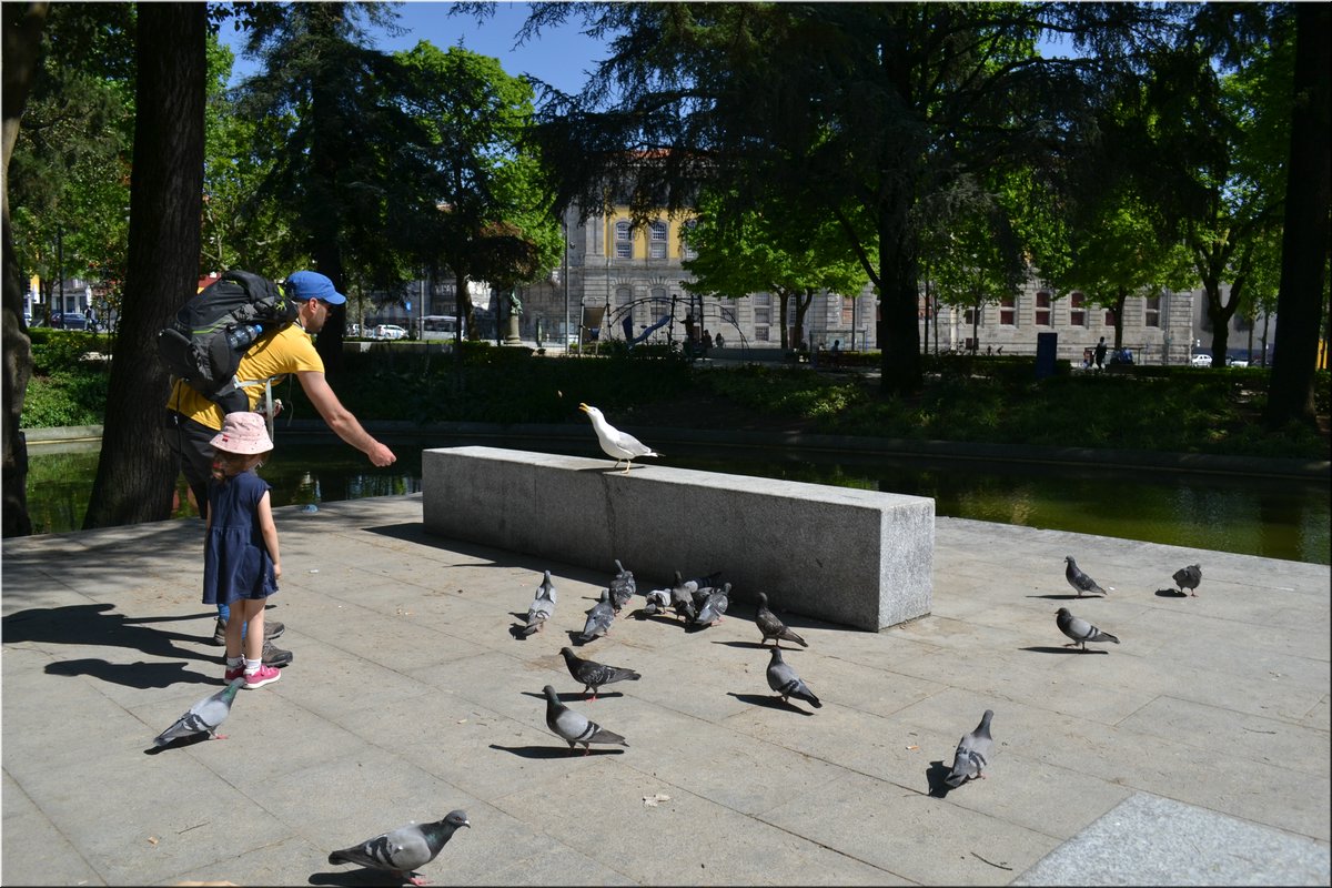 220508-Porto-102;Brc.JPG