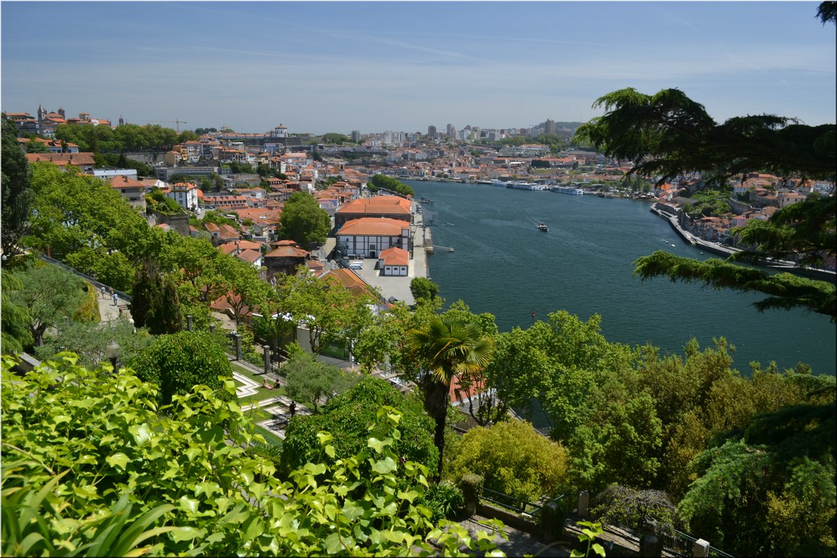 220511-Porto-352;Brc.JPG