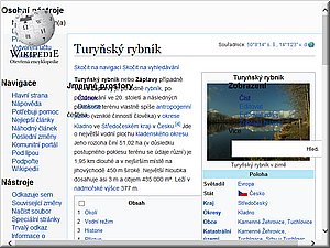 TurynskyRybnik–Wiki.jpg
