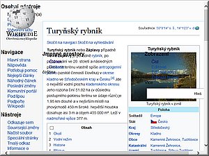 TurynskyRybnikWiki.jpg