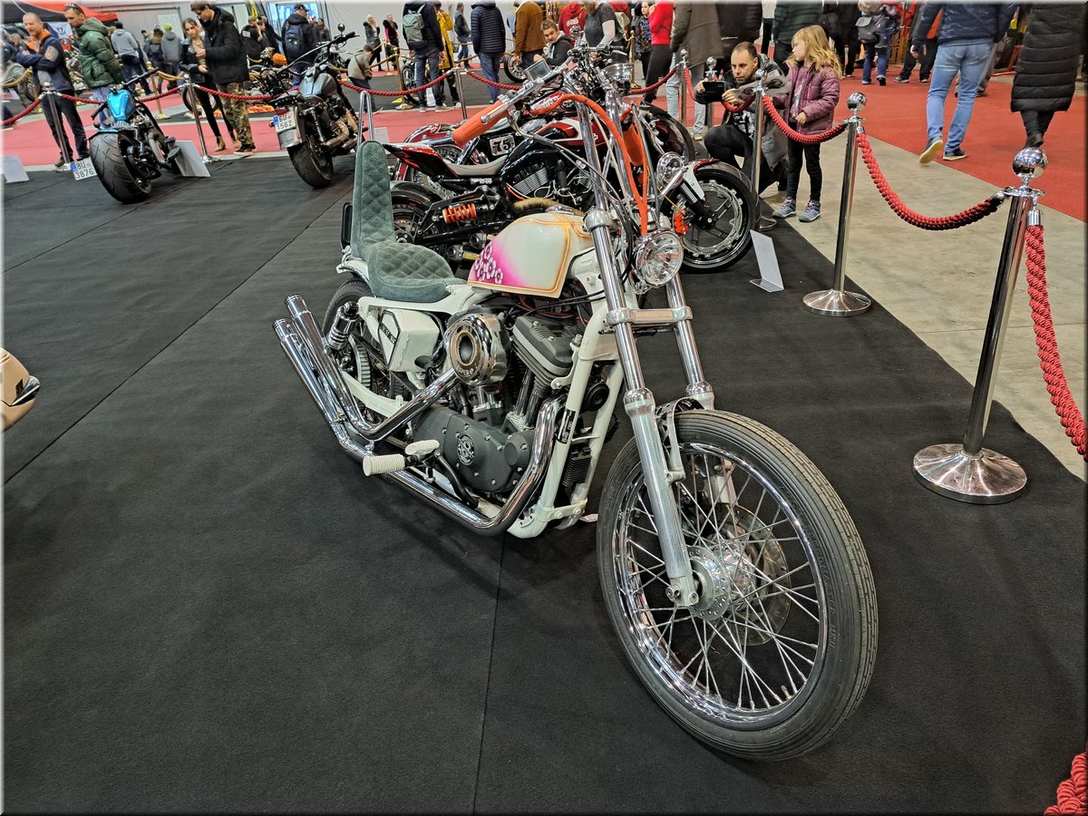 230305-vystavaMotocykl-Harley1.jpg