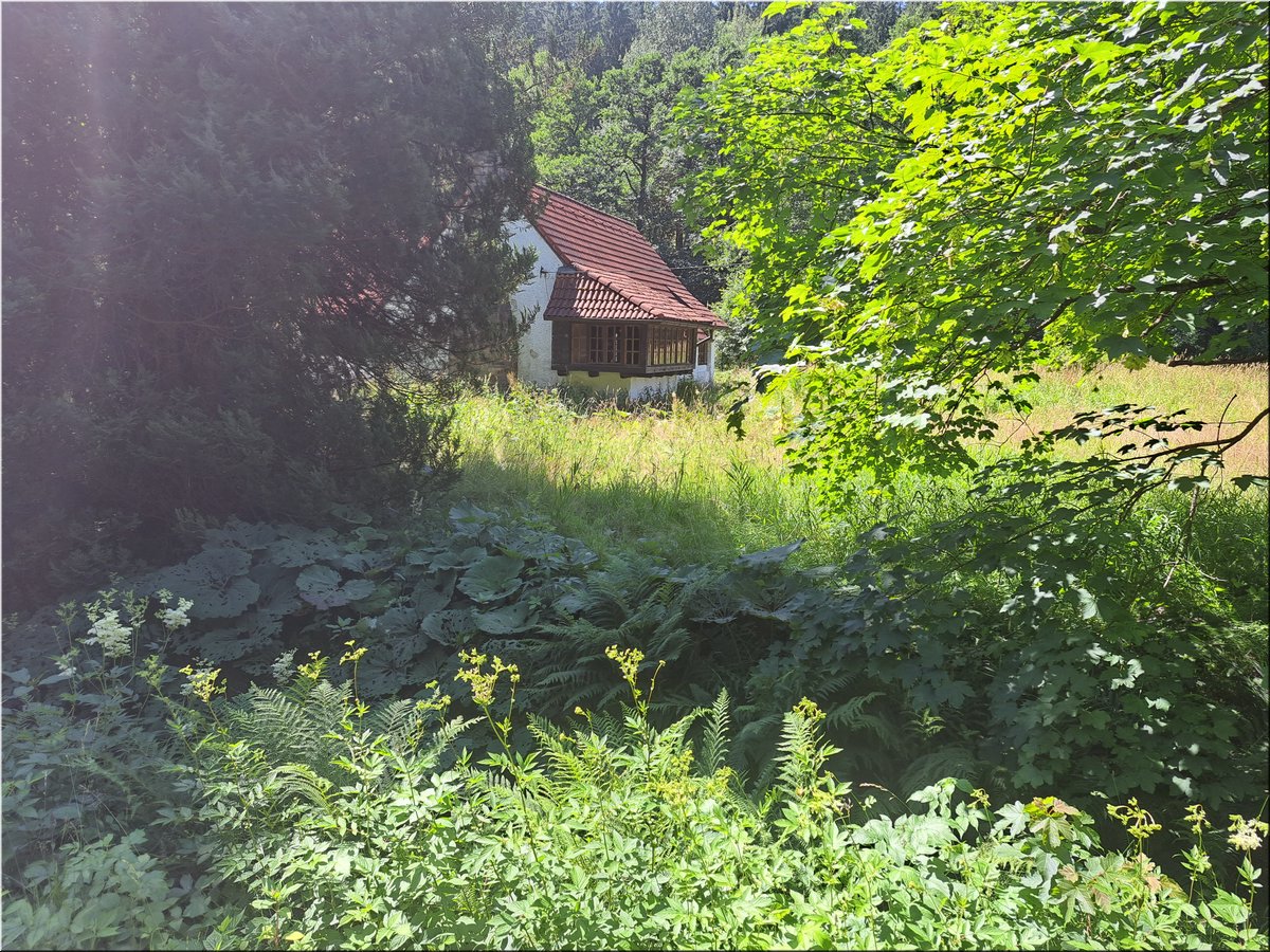 230707-cyklo-Velhartice-112237.jpg