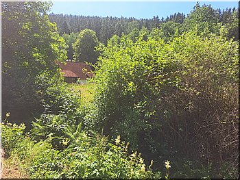 230707-cyklo-Velhartice-112315.jpg
