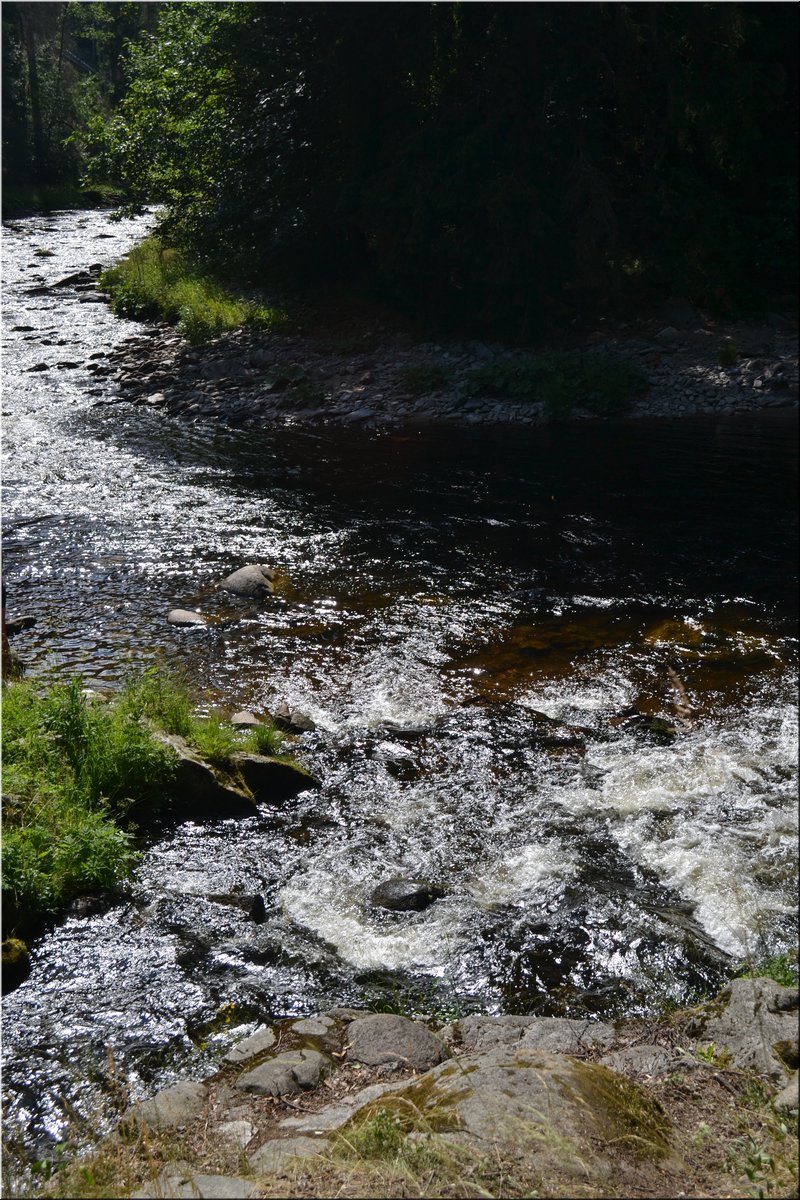 230708-peso-Vydra-0228.JPG