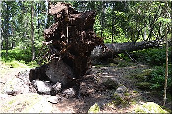 230708-peso-Vydra-0126.JPG