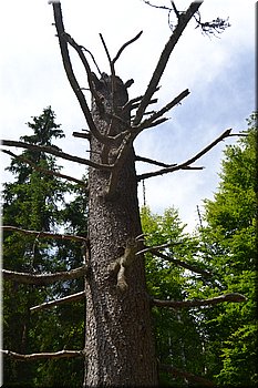 230708-peso-Vydra-0141.JPG